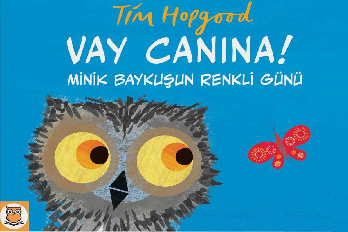 Vay Canına! Minik Baykuşun Renkli Günü