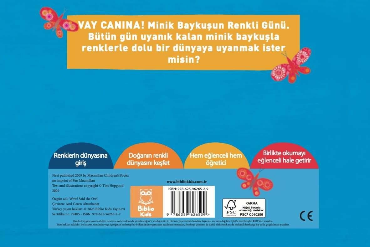 Vay Canına! Minik Baykuşun Renkli Günü