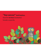 Vay Canına! Minik Baykuşun Renkli Günü