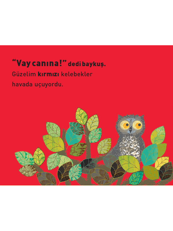 Vay Canına! Minik Baykuşun Renkli Günü