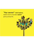 Vay Canına! Minik Baykuşun Renkli Günü