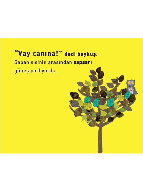 Vay Canına! Minik Baykuşun Renkli Günü